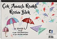 ALEX SCHOELLER ALX-0299 SPİRALLİ ÇOK AMAÇLI RESİM DEFTERİ 35x50 10+15 YAPRAK 120gr (120.035) - ALEX