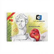 ALEX SCHOELLER ALX-0816 SPİRALLİ RESİM DEFTERİ 25x35 25 YAPRAK 120gr (120.26) - ALEX