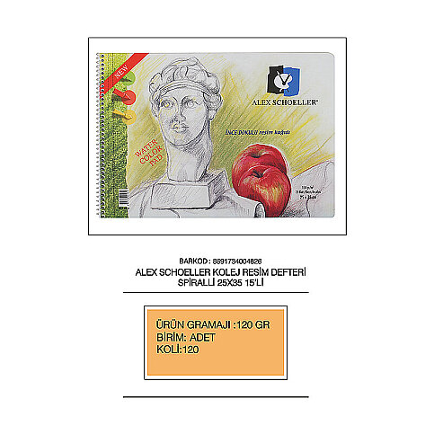 ALEX SCHOELLER ALX-826 SPİRALLİ RESİM DEFTERİ 25x35 15 YAPRAK 120gr (120.25) - 1