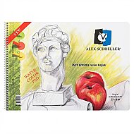 ALEX SCHOELLER ALX-826 SPİRALLİ RESİM DEFTERİ 25x35 15 YAPRAK 120gr (120.25) - ALEX