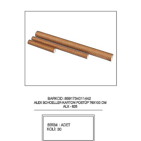 ALEX SCHOELLER ALX-825 POSTÜP KARTON PROJE TÜPÜ 76x100cm (076.04) - 1