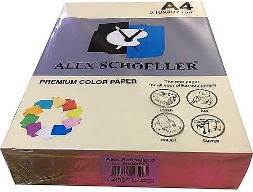 ALEX SCHOELLER ALX-45110 RENKLİ FOTOKOPİ KAĞIDI A4 80gr 510 KREM 100LÜ (456.10)