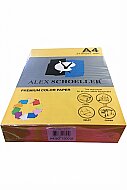 ALEX SCHOELLER ALX-45200 RENKLİ FOTOKOPİ KAĞIDI A4 80gr 600 ALTIN 100LÜ (457.00) - ALEX