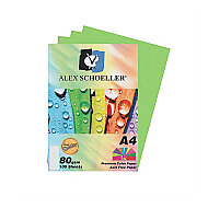 ALEX SCHOELLER ALX-45230 RENKLİ FOTOKOPİ KAĞIDI A4 80gr 630 KOYU YEŞİL 100LÜ (457.30) - ALEX
