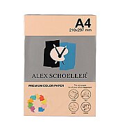 ALEX SCHOELLER ALX-550 RENKLİ FOTOKOPİ KAĞIDI A4 80gr SOMON 500LÜ (451.50) - ALEX