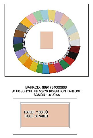 ALEX SCHOELLER ALX-1005 FON KARTONU 50x70 NO:05 SOMON 160gr (012.05) - 1