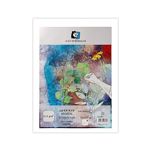 ALEX SCHOELLER ALX-121 SCHOELLER KARTON AMERİKAN BRİSTOL 35x50 210gr 100LÜ (210.35) - 1