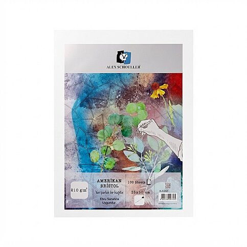 ALEX SCHOELLER ALX-121 SCHOELLER KARTON AMERİKAN BRİSTOL 35x50 210gr 100LÜ (210.35) - 1
