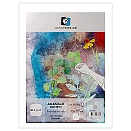 ALEX SCHOELLER ALX-805 SCHOELLER KARTON AMERİKAN BRİSTOL 50x70 210gr (210.50) - ALEX