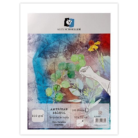 ALEX SCHOELLER ALX-805 SCHOELLER KARTON AMERİKAN BRİSTOL 50x70 210gr (210.50) - 1