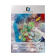 ALEX SCHOELLER ALX-805 SCHOELLER KARTON AMERİKAN BRİSTOL 50x70 210gr (210.50) - ALEX