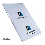 ALEX SCHOELLER ALX-805 SCHOELLER KARTON AMERİKAN BRİSTOL 50x70 210gr (210.50) - ALEX (1)