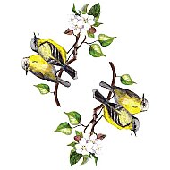 ARTDECO KOLAY TRANSFER KAĞIDI 17x25 (Y-100-KT17-14) - ARTDECO
