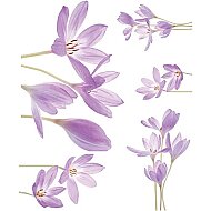 ARTDECO KOLAY TRANSFER KAĞIDI 25x35 (Y-100-KT25-47) - ARTDECO