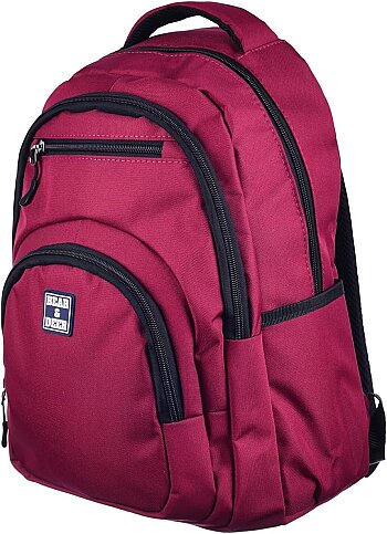 BEAR AND DEER BD-CN0256 FİBRO SIRT ÇANTASI BORDO - 3