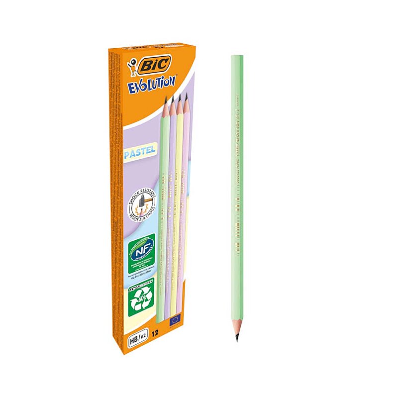 BİC 650 EVOLUTİON PASTEL KURŞUN KALEM HB (518307)