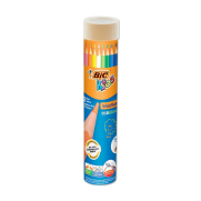 Bic Evolution Kuru Boya 12 Renk Metal Tüp (958191) - BİC