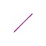 Bic Evolution Kurşun Kalem Purple (901737) - BİC (1)