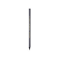 Bic Evolution Kurşun Kalem Siyah (896017) - 2