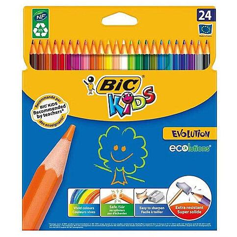BİC EVOLUTİON KURU BOYA 24 RENK KARTON KUTU (929733) - 1