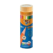 Bic Evolution Kuru Boya 36 Renk Metal Tüp (968491) - BİC