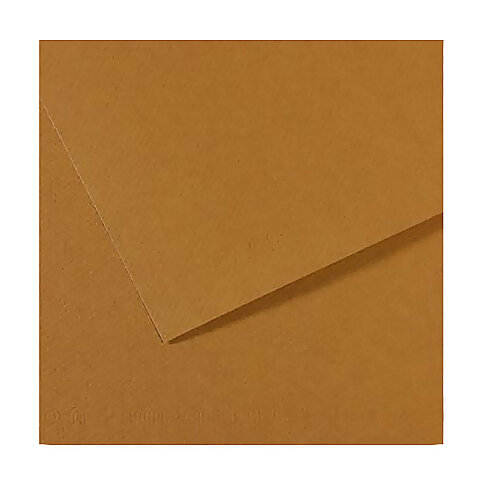 CANSON 336 Mİ-TEİNTİES FON KARTONU 50x65 CACOU 160gr (200321034) - 2