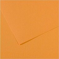 CANSON 374 Mİ-TEİNTİES FON KARTONU 50x65 TERRE DE SİENNE 160gr (200321094) - CANSON