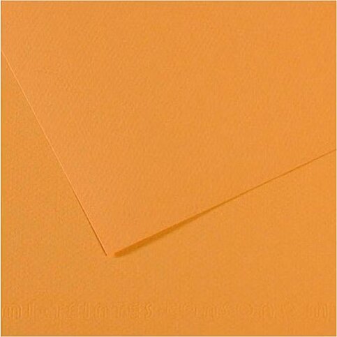 CANSON 374 Mİ-TEİNTİES FON KARTONU 50x65 TERRE DE SİENNE 160gr (200321094) - 1