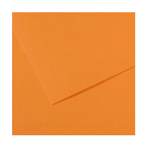 CANSON 384 Mİ-TEİNTİES FON KARTONU 50x65 SALMON 160gr (200321104) - 2