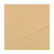 CANSON 407 Mİ-TEİNTİES FON KARTONU 50x65 LÜCHEN 160gr (200321124) - CANSON (1)
