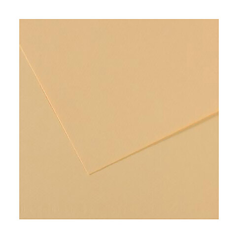 CANSON 407 Mİ-TEİNTİES FON KARTONU 50x65 LÜCHEN 160gr (200321124) - 2