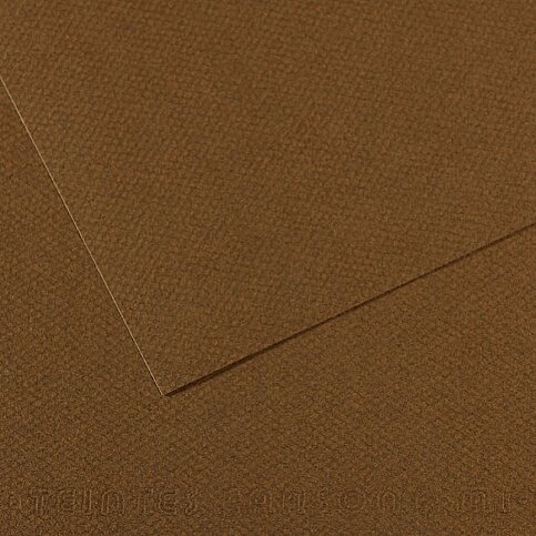 Canson 501 Miteinties Fon Kartonu A4 Dark Brown 160gr (200331679) - 1