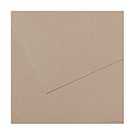 Canson 122 Mi-Teinties Fon Kartonu A4 Flannel Grey 160gr (200321649) - 2