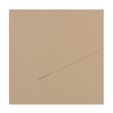 Canson 343 Mi-Teinties Fon Kartonu A4 Trianon Grey 160gr (200321658) - 1
