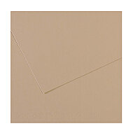 Canson 343 Mi-Teinties Fon Kartonu A4 Trianon Grey 160gr (200321658) - 2