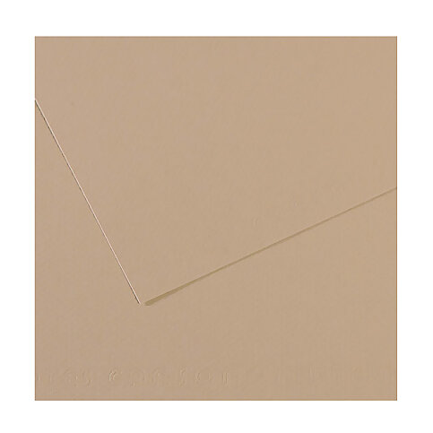 Canson 343 Mi-Teinties Fon Kartonu A4 Trianon Grey 160gr (200321658) - 2