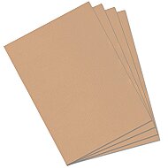 CANSON 350 Mİ-TEİNTİES FON KARTONU 50x65 HONEYSUCKLE 160gr (200321074) - CANSON