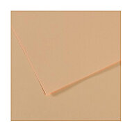Canson 350 Mi-Teinties Fon Kartonu 50x65 Climbing Rose 160gr (200321074) - 2