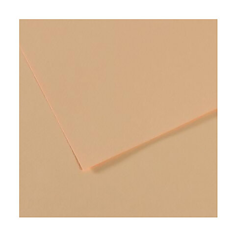 Canson 350 Mi-Teinties Fon Kartonu 50x65 Climbing Rose 160gr (200321074) - 2