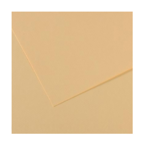 Canson 407 Mi-Teinties Fon Kartonu A4 Lüchen 160gr (200321666) - 1