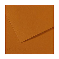 Canson 502 Mi-Teinties Fon Kartonu 50x65 Havana 160gr (200321184) - 2