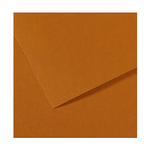 Canson 502 Mi-Teinties Fon Kartonu 50x65 Havana 160gr (200321184) - 2