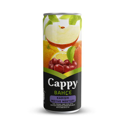 Cappy Karışık Meyve Nektarı 250ml Kutu - 1