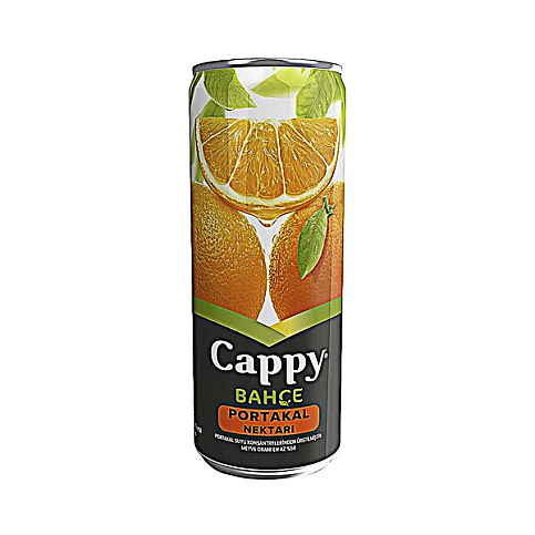 CAPPY PORTAKAL SUYU 330ml KUTU - 1