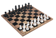 Çekirdek Zeka Ezk12 Satranç - 1