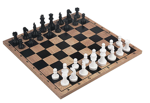 Çekirdek Zeka Ezk12 Satranç - 1