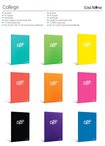 Çınar College Plastik Kapak Defter A4 Çizgili 80 Yaprak (76004) - 2