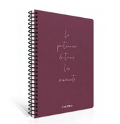 Çınar Moment'S Spiralli Sert Kapak Defter 17x24 Kareli 120 Yaprak (55115) - 5