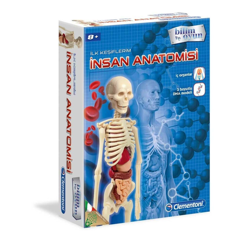 Clementoni İlk Keşiflerim İnsan Anatomisi (64297) - 1