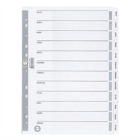 COMİX BIC340 A6881 EKONOMİK AYRAÇ A4 AYLAR OCAK-ARALIK - 1